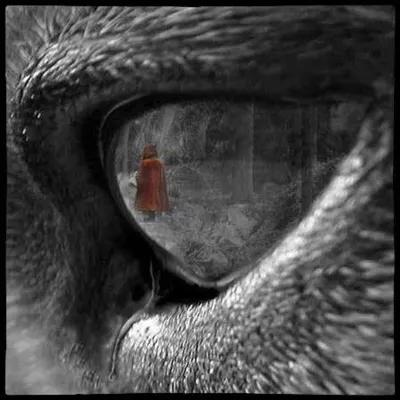 The Wolf poster1
